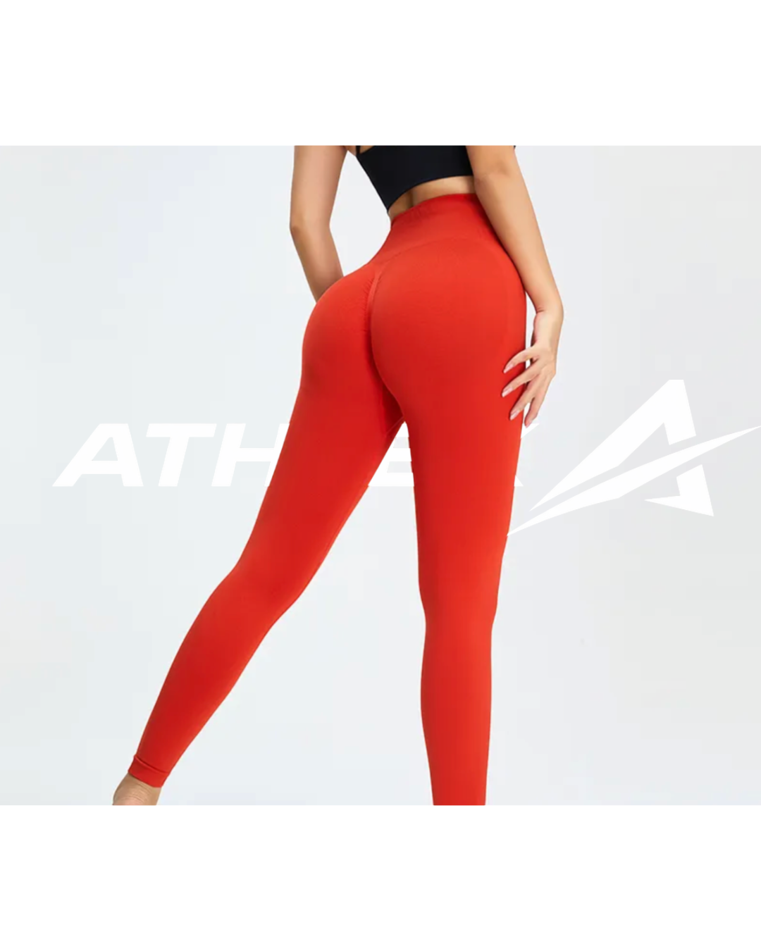 ATHLEX Core Seamless Legging